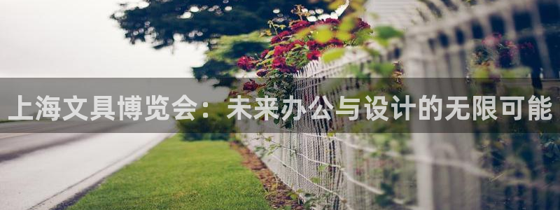 彩名堂免费计划官网5.0版下载链接