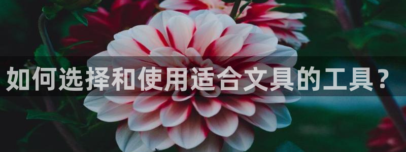 彩名堂免费计划官网5 0