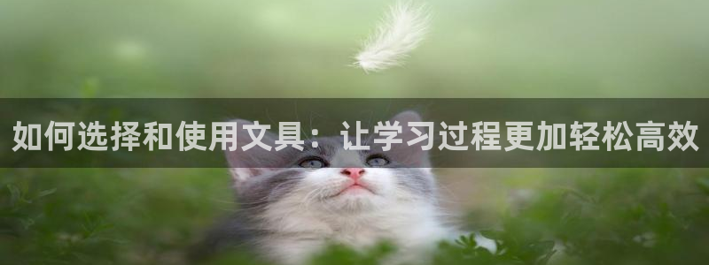 彩名堂安卓客户端官网下载安装
