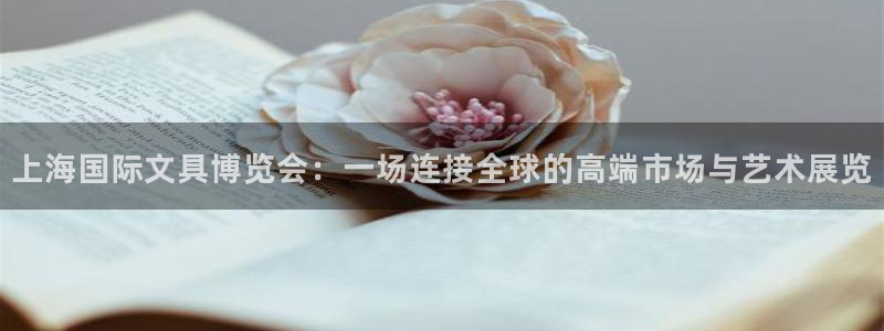 彩名堂不能用了吗
