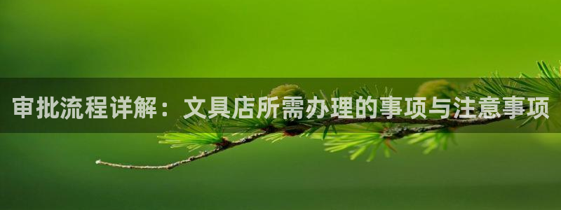 彩名堂双彩网：审批流程详解：文具店所需办