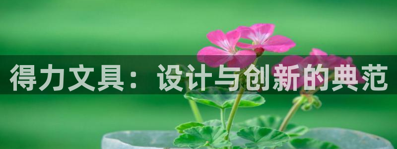 正规彩名堂官网计划01：得力文具：设计与