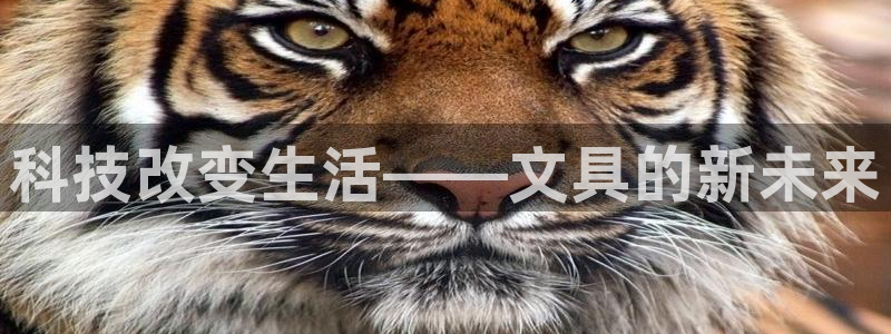 彩名堂计划官方客服：科技改变生活——文具