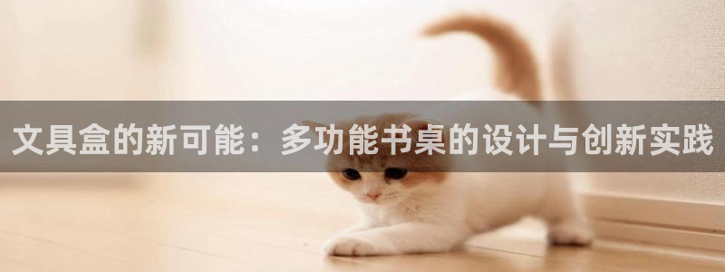 老版彩名堂：文具盒的新可能：多功能书桌的
